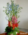 flores de verano